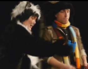 «Котёнок по имени ИРБИС»